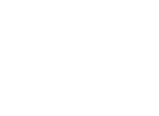 Everything Essential 345